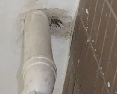 大邑漏水检测哪家好